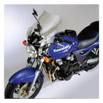 NC F-Series™ F-15 Tour Fairing - Light tint