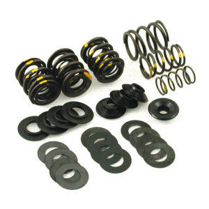 S&S, valve spring kit. Steel top collars .590" lift