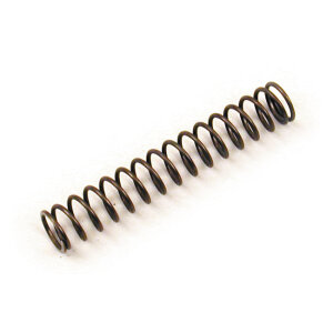 Spring, shifter pawl carrier