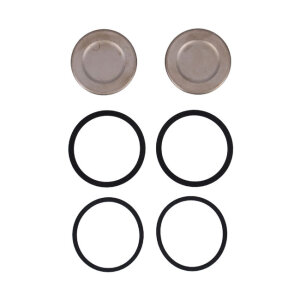 Caliper piston & seal kit. Front