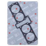 Athena, Cylinder base gasket