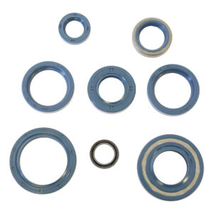 Athena, engine oil seal kit