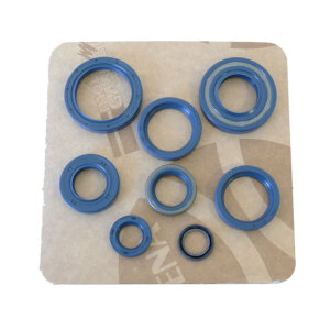 Athena, engine oil seal kit