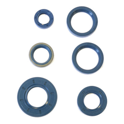 Athena, engine oil seal kit