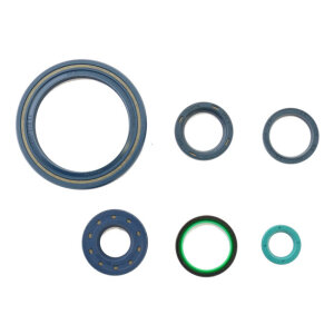 Athena, engine oil seal kit