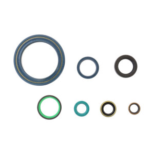 Athena, engine oil seal kit