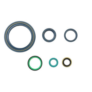 Athena, engine oil seal kit