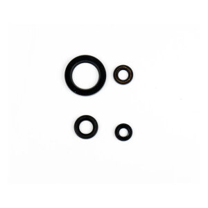 Athena, engine oil seal kit