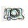 Athena, top end gasket kit