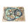 Athena, complete motor gasket kit