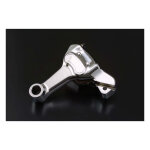 Brake caliper & bracket assembly, rear. Chrome
