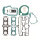 Athena, complete motor gasket kit