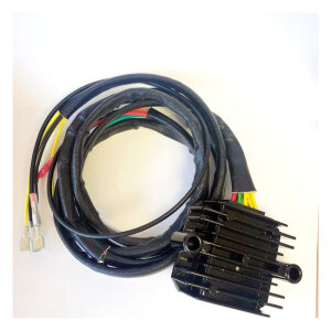 Ricks Lithium ion battery compatible rec-regulator