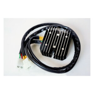 Ricks Lithium ion battery compatible rec-regulator