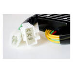 Ricks Lithium ion battery compatible rec-regulator