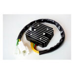 Ricks Lithium ion battery compatible rec-regulator