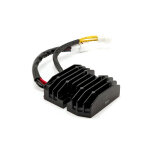 Ricks Hot Shot Lithium ion battery compatible rec-regulator