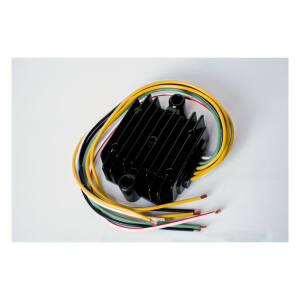 Ricks universal Field Excited Lithium Ion rec-regulator