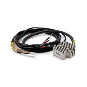 Ricks rectifier-regulator universal style