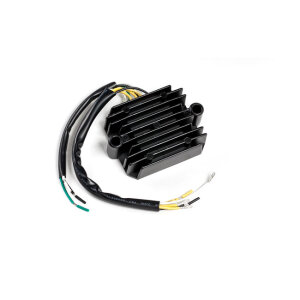 Ricks rectifier-regulator universal style