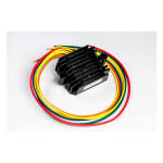 Ricks rectifier-regulator universal style