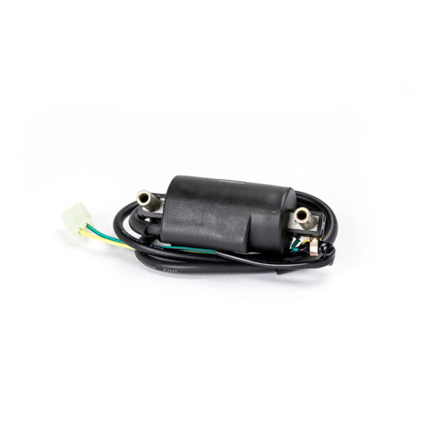 Ricks ignition coil