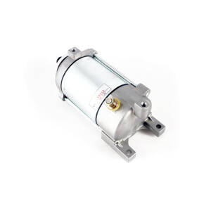 Ricks starter motor