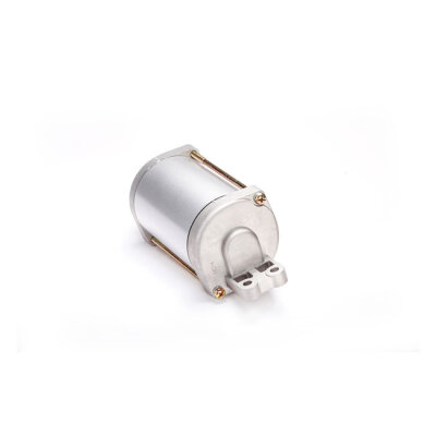 Ricks starter motor
