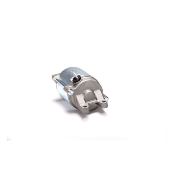 Ricks starter motor