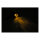 Micro bullet LED turn signals, black