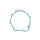 Athena stator cover gasket