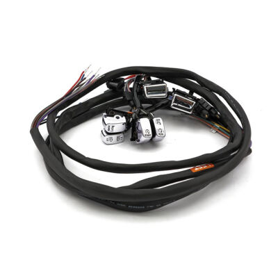 Handlebar switch & wiring kit. Cruise. LED. Chrome