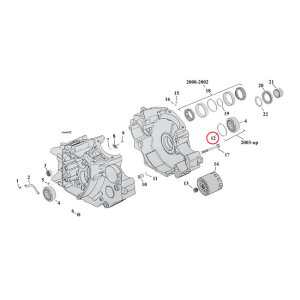 Retaining rings, pinion/sprocket shaft bearing