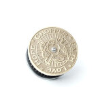 Wannabe Choppers, WannaSucker CFLH air cleaner. Brass