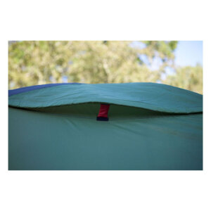 Coleman Darwin 2+ tent dark grey/army green Size 330x200x130 cm