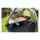 Coleman Darwin 2+ tent dark grey/army green Size 330x200x130 cm
