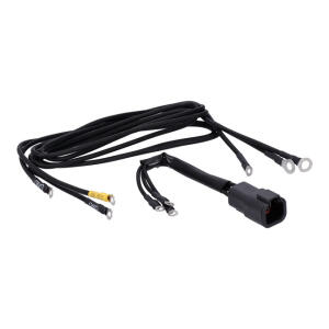 Cycle electric regulator harness
