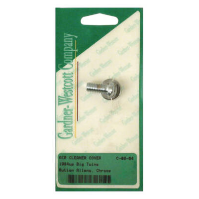 Air cleaner cover mount bolt