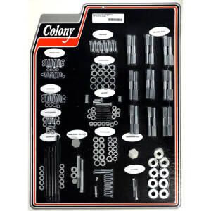 COLONY MOTOR SCREW SET