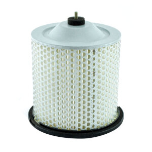 MIW, replacement air filter S3195