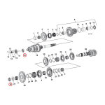 GW hex nut, mainshaft & countershaft