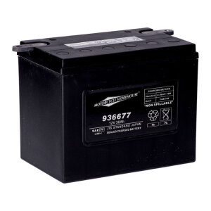 MCS, standard series - AGM sealed battery. 12v, 30ah. 370cca inkl. 7,50 Euro Batteriepfand