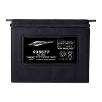 MCS, Standard Series - AGM sealed battery. 12V, 30Ah. 370CCA