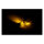Crystal, LED turn signal set. Black stem