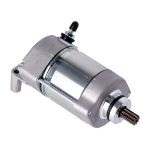 Ricks starter motor