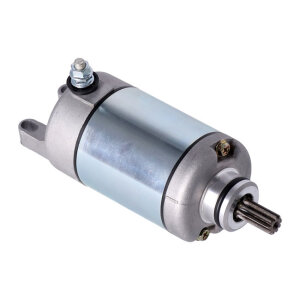 Ricks starter motor