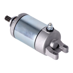 Ricks starter motor