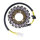 Ricks stator, OEM style MV Agusta