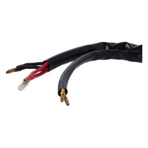 Ricks Hot Shot Lithium ion battery compatible rec-regulator