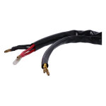 Ricks Hot Shot Lithium ion battery compatible rec-regulator